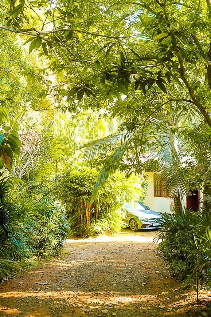 Walawwa Matale Hotel Buitenkant foto